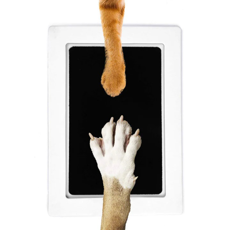 Cat Dog Paw Print Ink Kit Pad  - Baby Clothing Wash avis et prix
